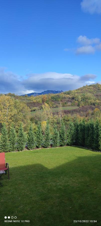 Villa View Cozia Călimăneşti Exterior foto