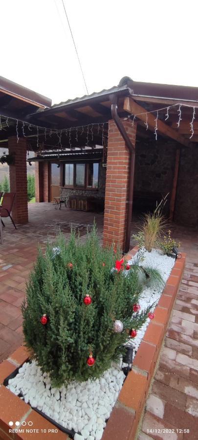 Villa View Cozia Călimăneşti Exterior foto
