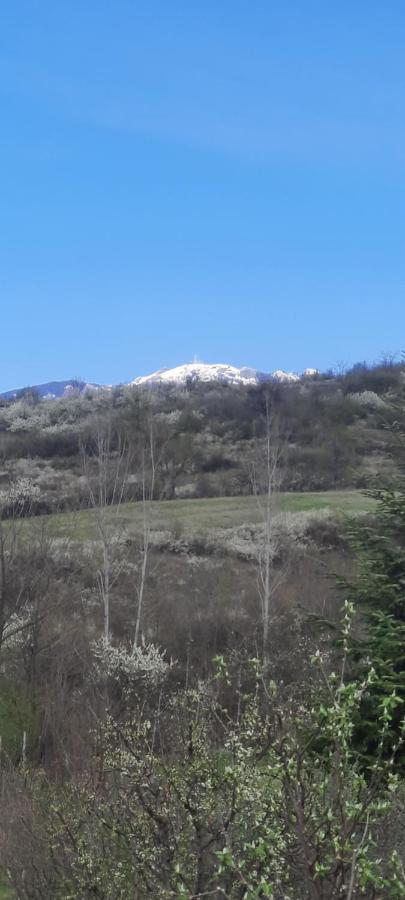 Villa View Cozia Călimăneşti Exterior foto